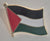 Palestine Flag Badge